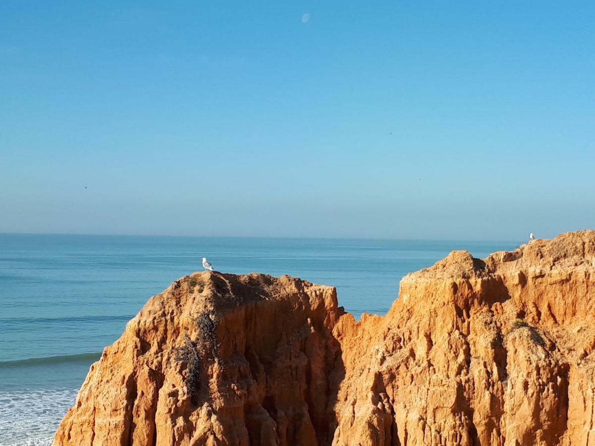 Apartamento Albufeira 6 B Eksteriør bilde