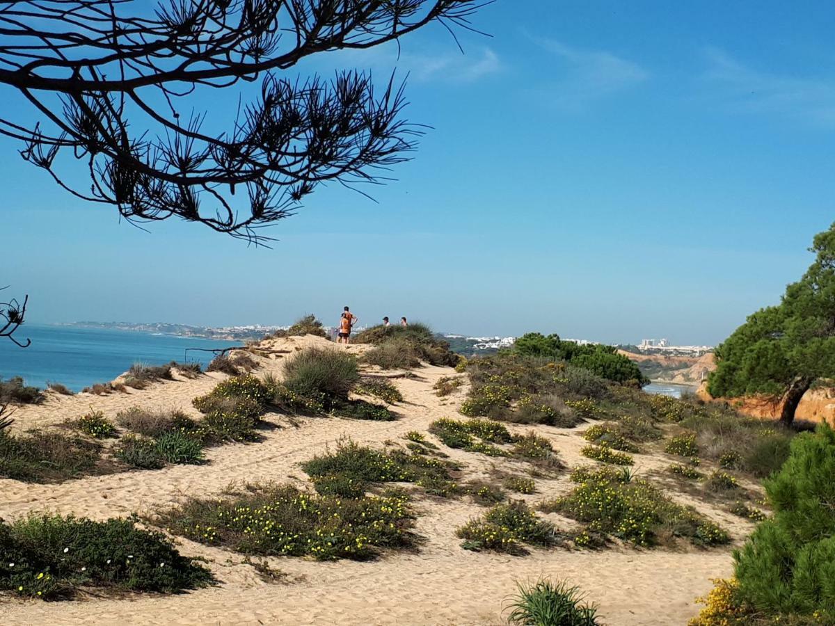 Apartamento Albufeira 6 B Eksteriør bilde